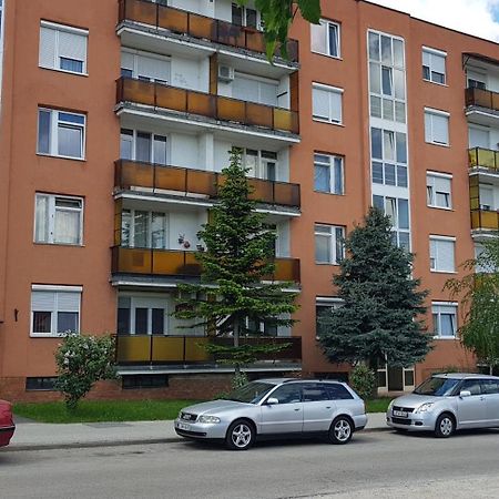 Veszprem Kucko Appartement Buitenkant foto
